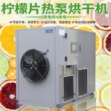 高效節(jié)能的果蔬烘干機 檸檬片、藍莓、芒果、檳榔等水果干制作利器